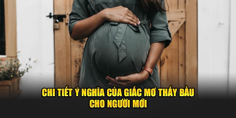 Chi tiết ý nghĩa của giấc mơ thấy bầu cho người mới