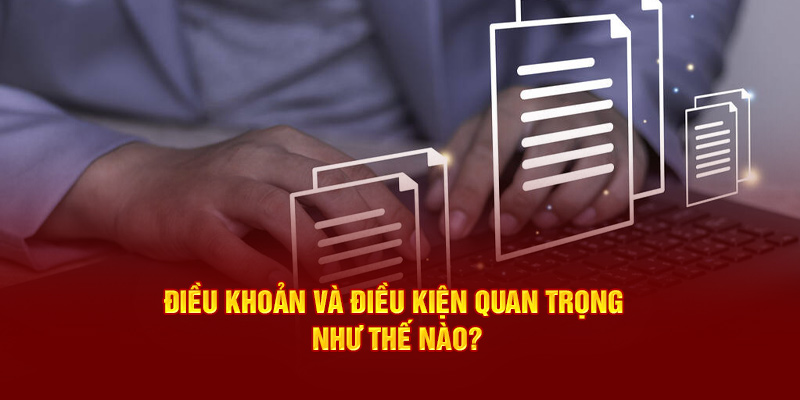 Sự quan trọng của điều khoản và điều kiện 