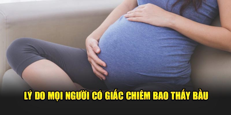 Lý do mọi người có giấc chiêm bao thấy bầu