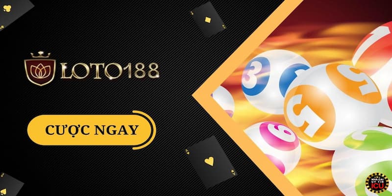 Đánh giá chung về link vào LOTO188 mới nhất